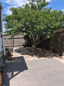 pavers before